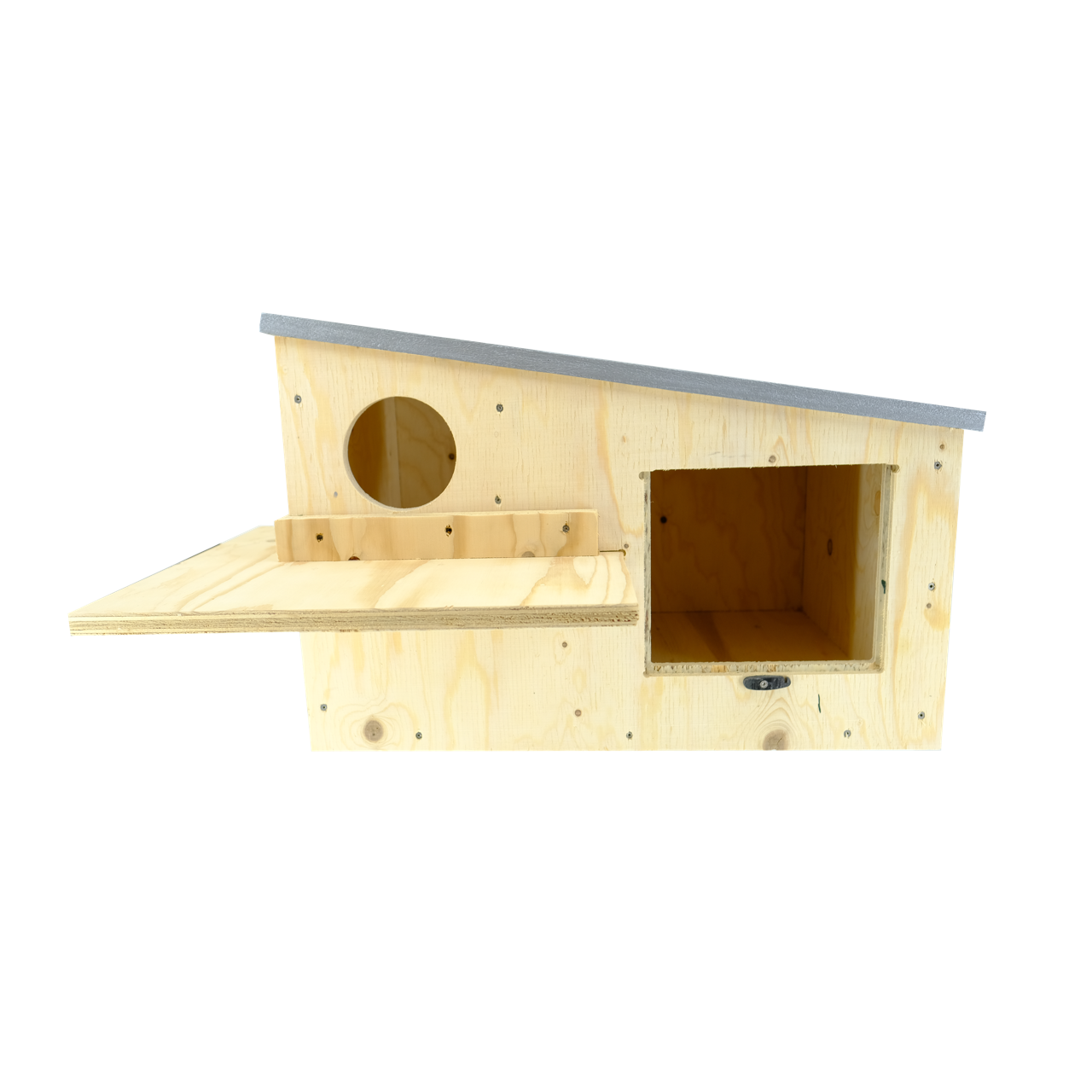 Multi-Species Raptor Box