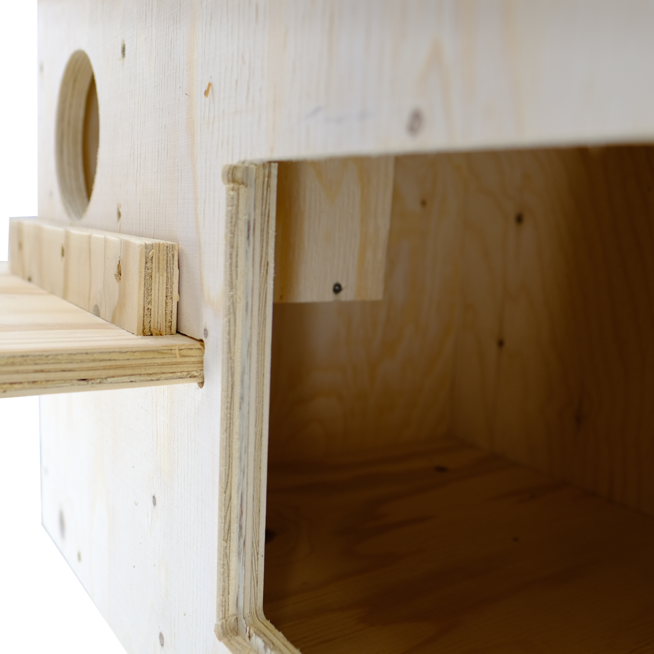 Multi-Species Raptor Box