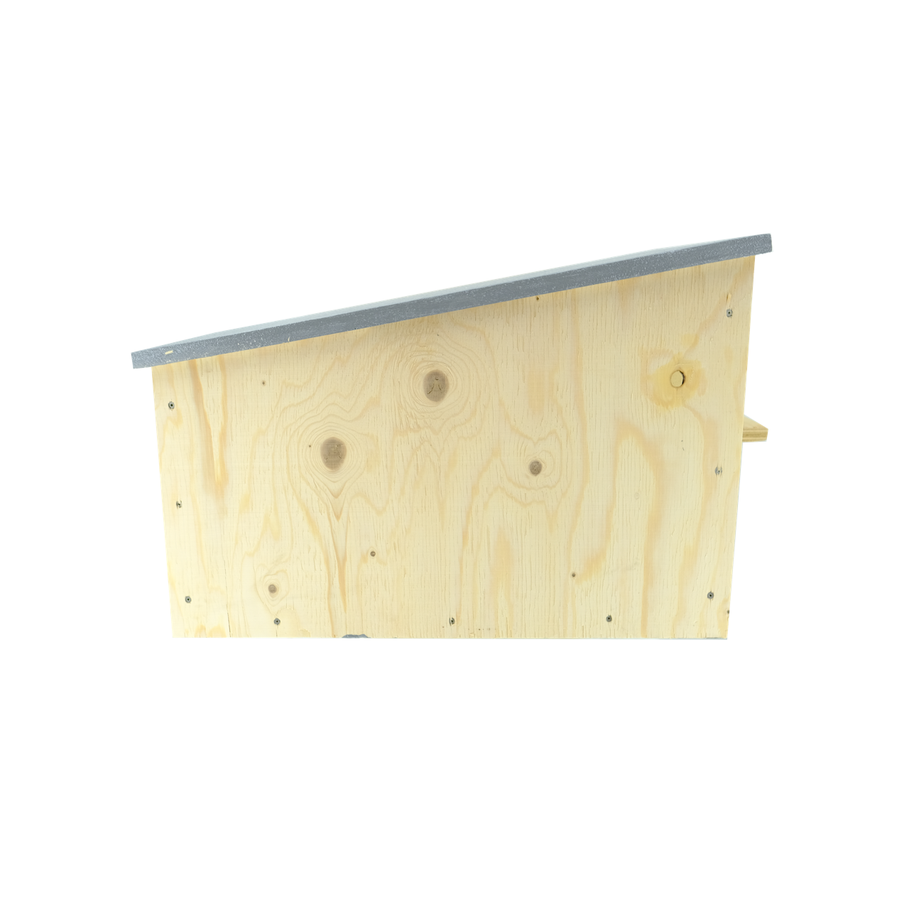 Multi-Species Raptor Box