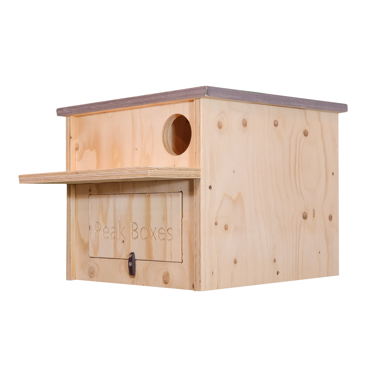 Little Owl Nest Box