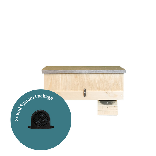 Swift Single Bottom Opener & Sound System Package