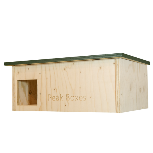 Hedgehog Nest Box