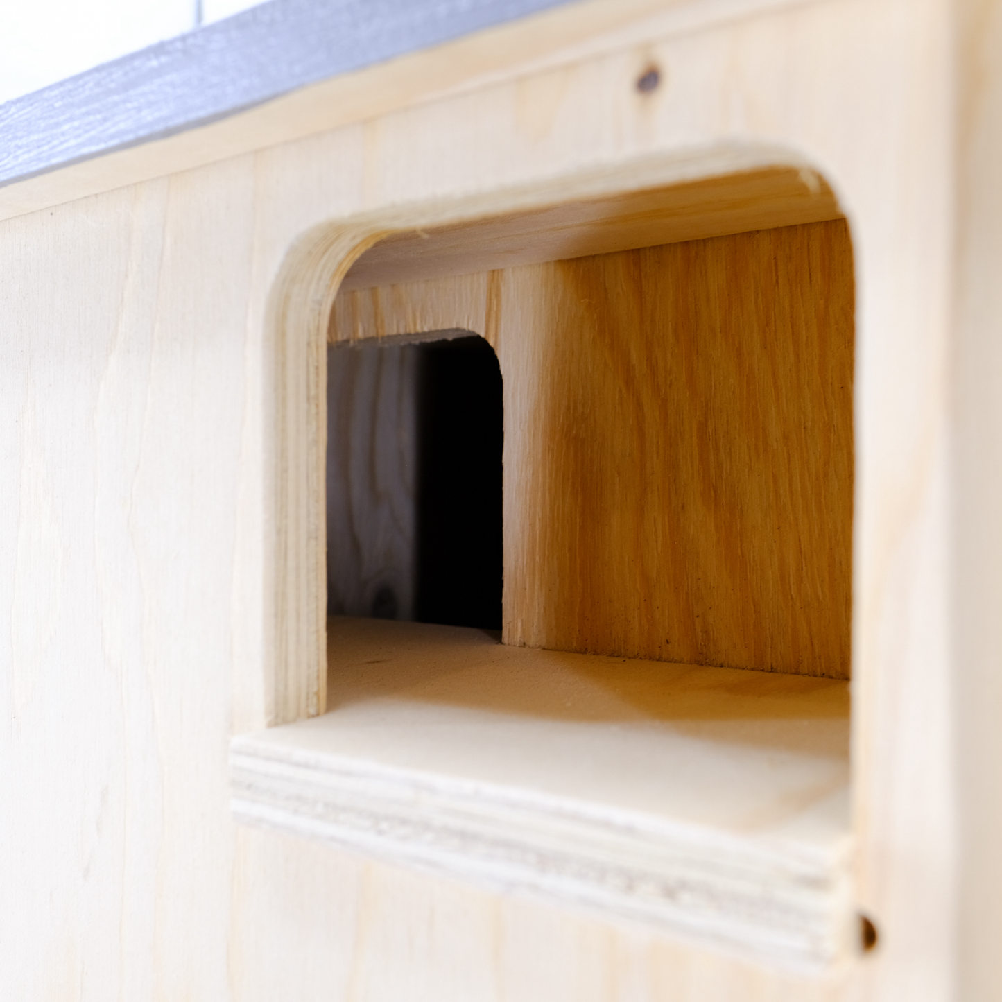 Barn Owl Duplex - Wall Mounted