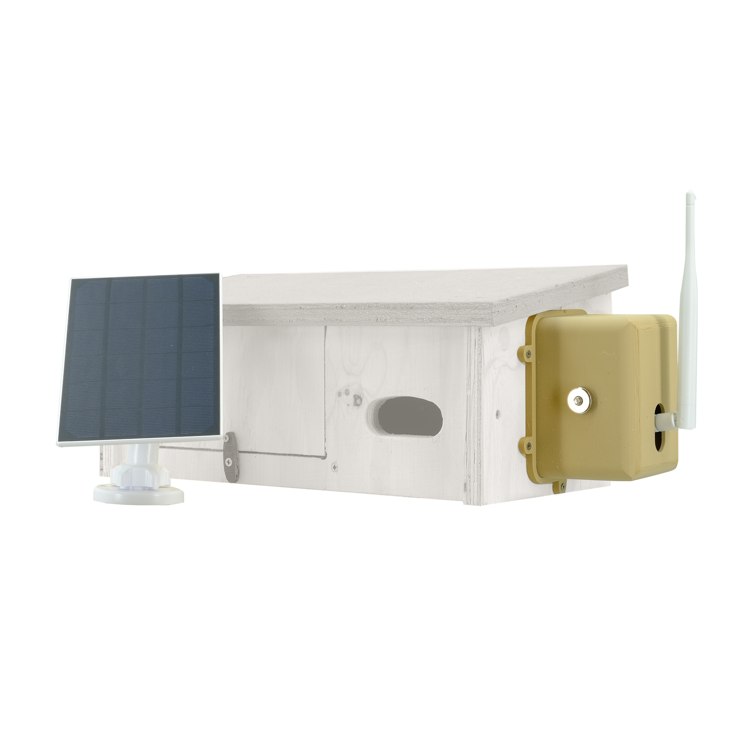 Solar Powered, Wireless Bird Box Camera and Housing