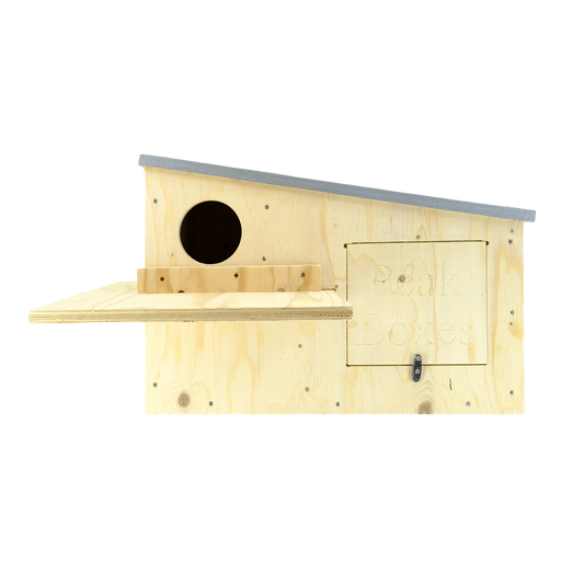 Multi-Species Raptor Box