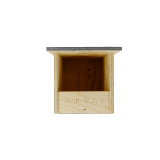 Kestrel Nest Box