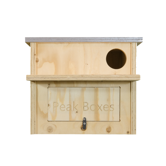 Little Owl Nest Box