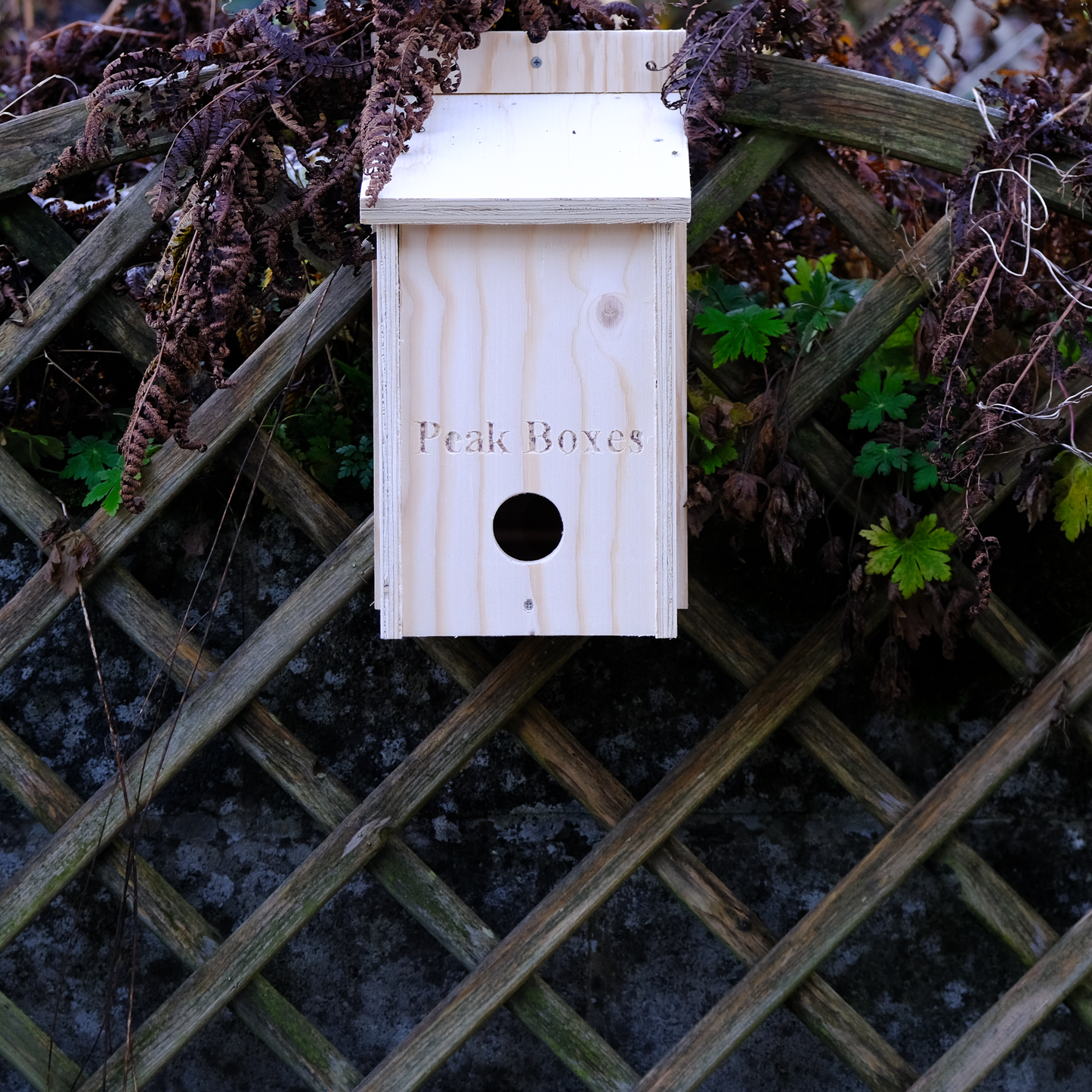Roosting Box